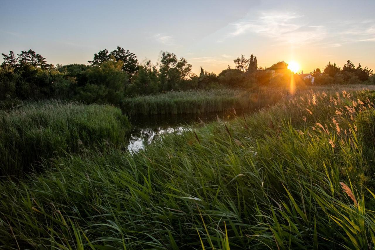 Le Mas De Cocagne Saintes-Maries-de-la-Mer Buitenkant foto